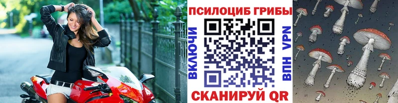 магазин    Феодосия  Псилоцибиновые грибы мицелий 
